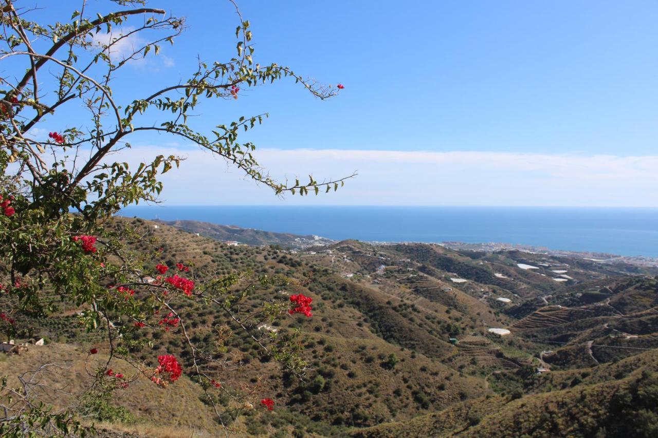 Villa Tranquila - Costa Del Sol - Great Seaview - Priv Pool - 3 Bed Torrox Exterior foto