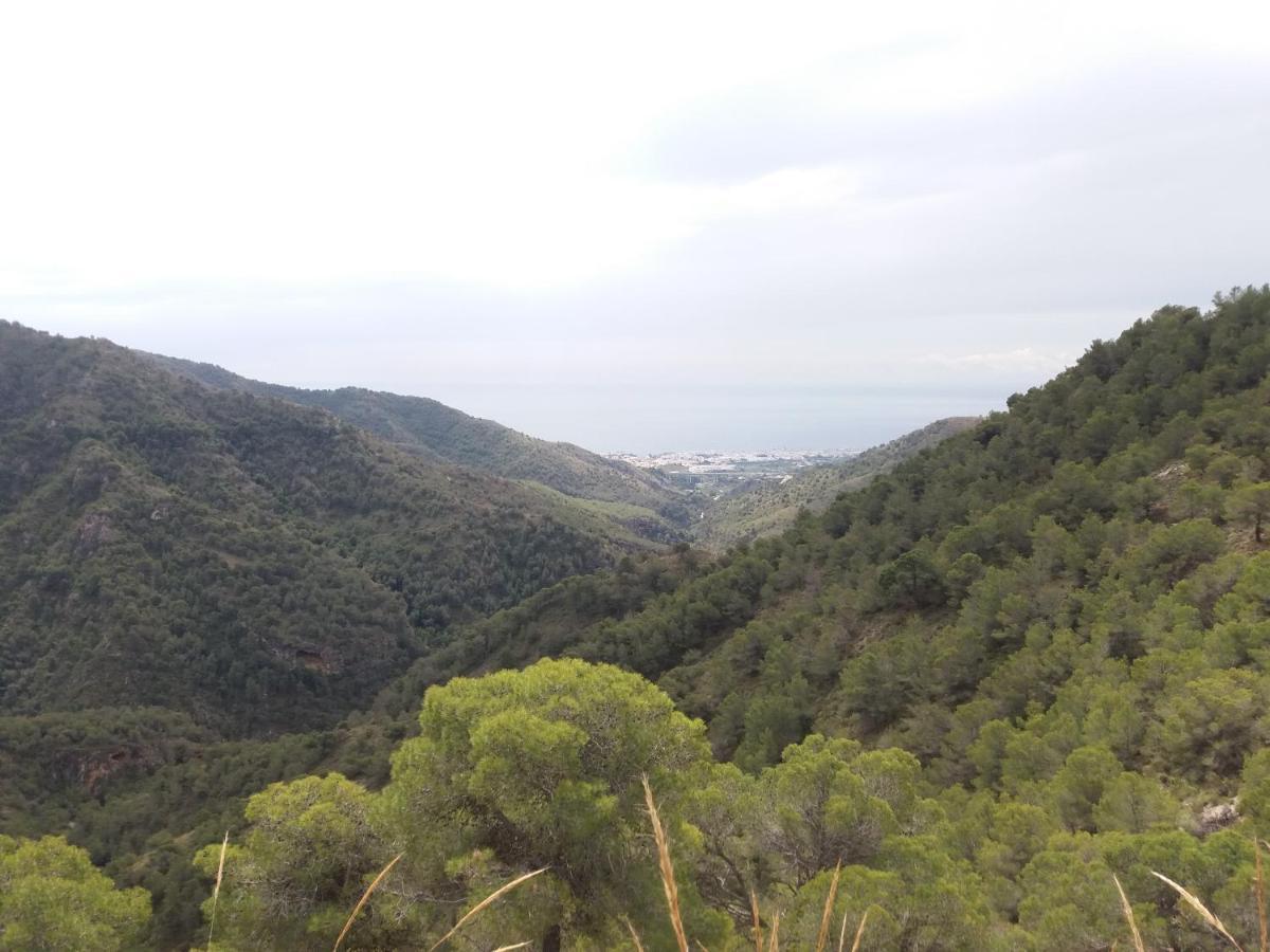 Villa Tranquila - Costa Del Sol - Great Seaview - Priv Pool - 3 Bed Torrox Exterior foto