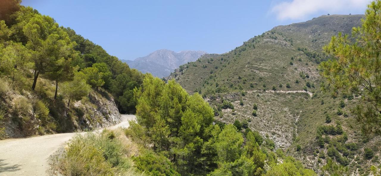 Villa Tranquila - Costa Del Sol - Great Seaview - Priv Pool - 3 Bed Torrox Exterior foto